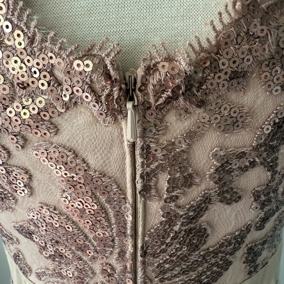 TADASHI SHOJI BLUSH SEQUIN LACE DRESS - Picture 11 of 15